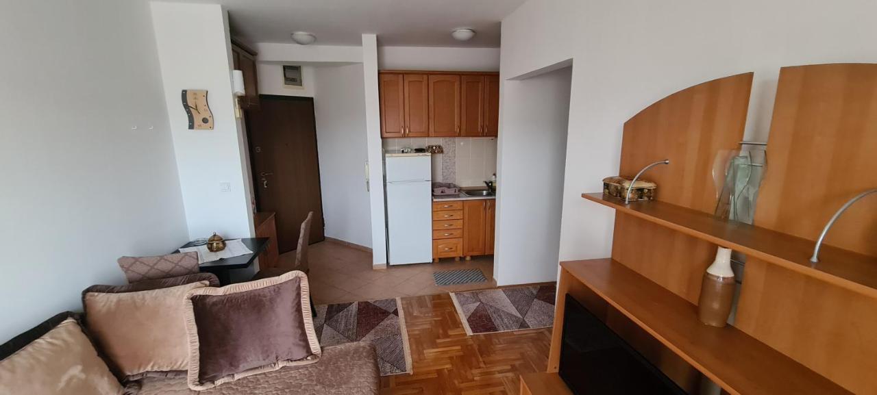 פודגוריצה Apartman Velimir Stari Aerodrom מראה חיצוני תמונה